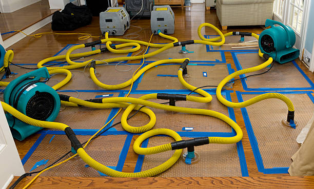 Professional Storm Water Damage Restoration technician working in Alma, CO